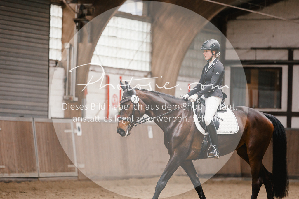 3I6A7820 | Stimmungsvolle Portraits und Reitsportfotografie im Ruhrgebiet und im Münsterland.

Pferdefotografie, Hundefotografie, Tierfotografie, Reportagen, Portraits von Tier und Mensch, Turnierfotografie in Bochum, Recklinghausen, Marl, Haltern am See, Dülmen.. - Realisiert mit Pictrs.com
