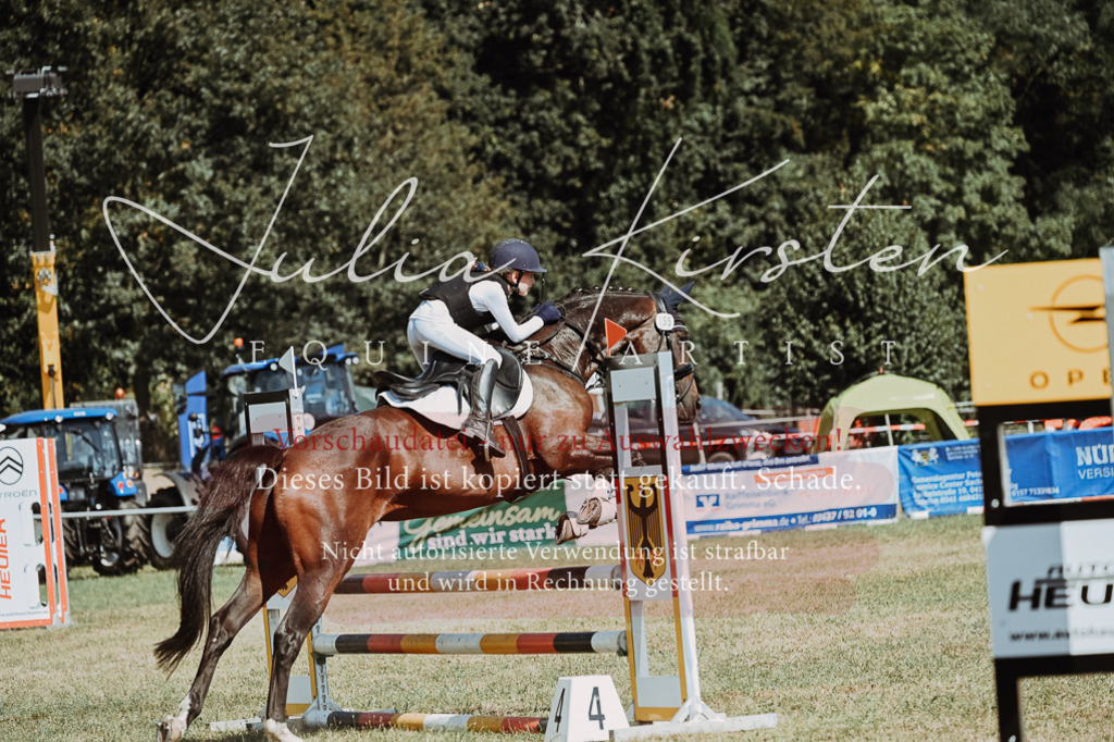 DSC_9791 | Pferde- und Turnierfotografie in Westsachsen. Pferdeportraits, Auftragszeichnungen und intuitive Kunst.