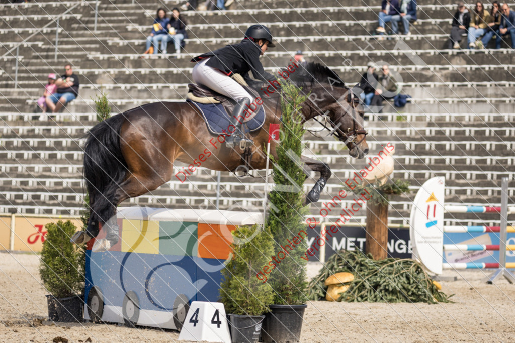 IMG_4943 | Sport-, Event- und Tierfotos in Profiqualität. Einfach auswählen, bestellen und herunterladen. Dein Moment – perfekt festgehalten.
