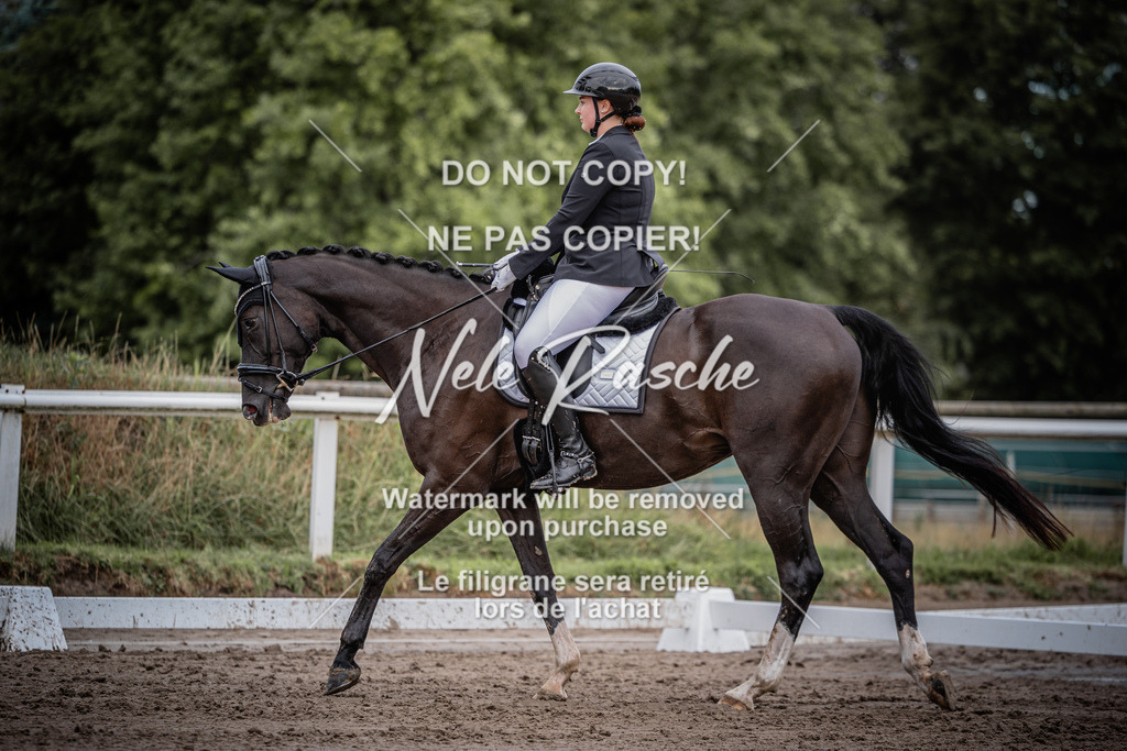 nelerasche_DrEEde_04 | nelerasche