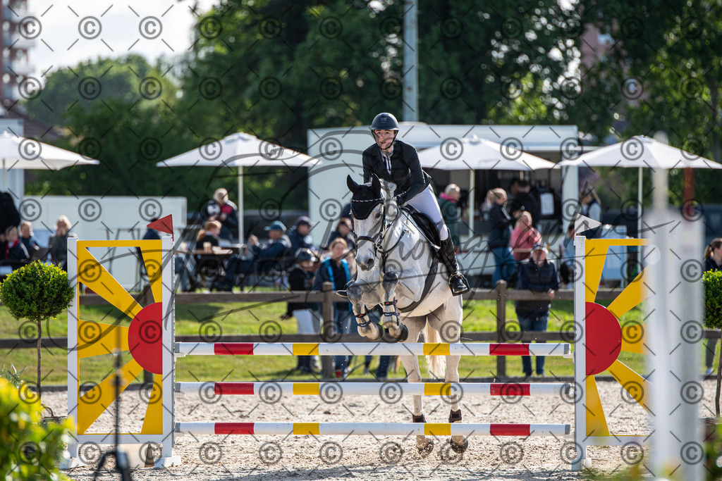 KPT_4510 | andre_photographic