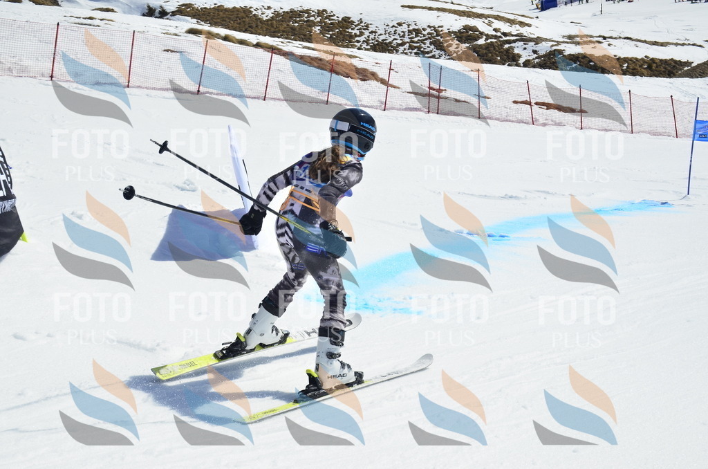 _ELE0799 | holidayphoto