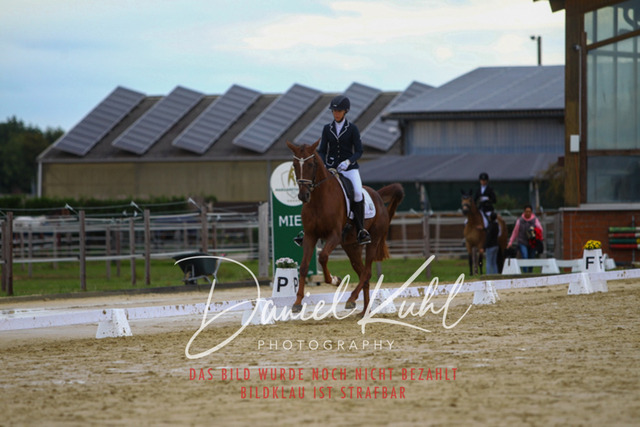 DKP43660 | Turniersportfotografie; Pferdefotografie; Dressurfotografie