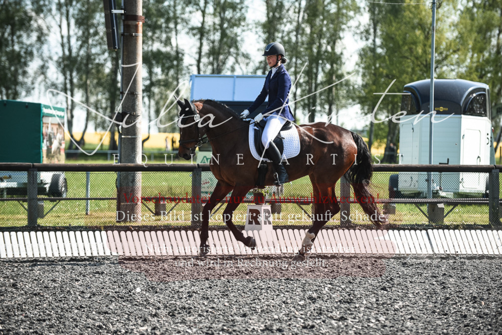 DSC_8783 | Pferde- und Turnierfotografie in Westsachsen. Pferdeportraits, Auftragszeichnungen und intuitive Kunst.