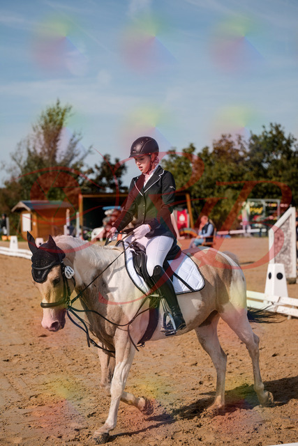2026_10_03_Siefer-Hof_114758_Z63_27635019 | Professionelle Reitsport-, Turnier- und Eventfotografie von Robert Broda. Galerien mit ausgewählten und bearbeiteten Bildern direkt online ansehen und bestellen.