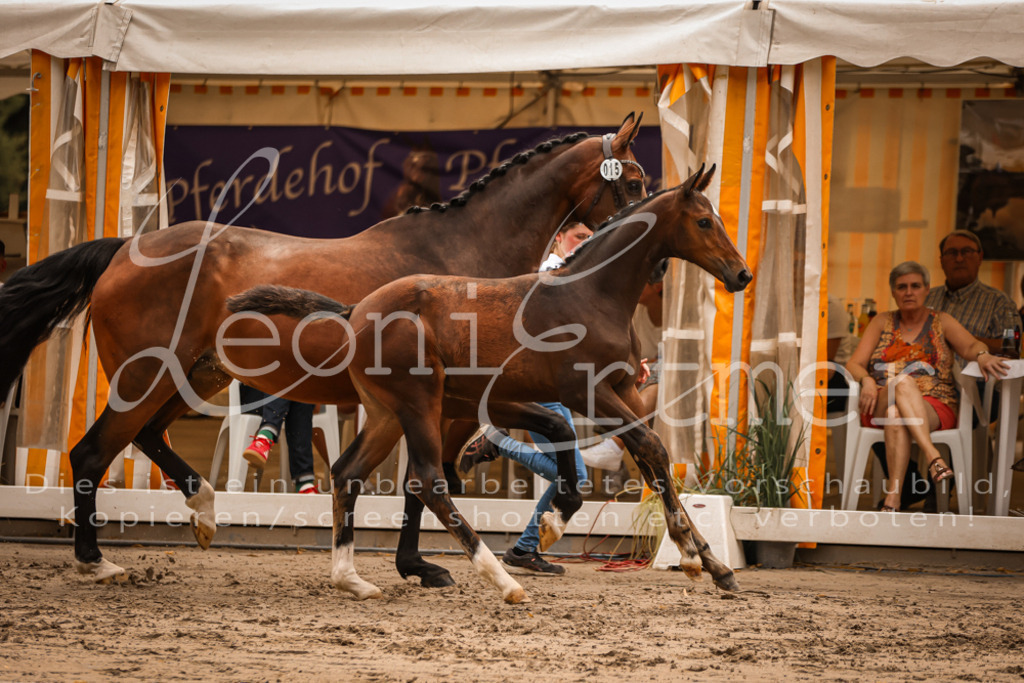 SaPA00219 | Leoni Ertmer Photography - Realisiert mit Pictrs.com