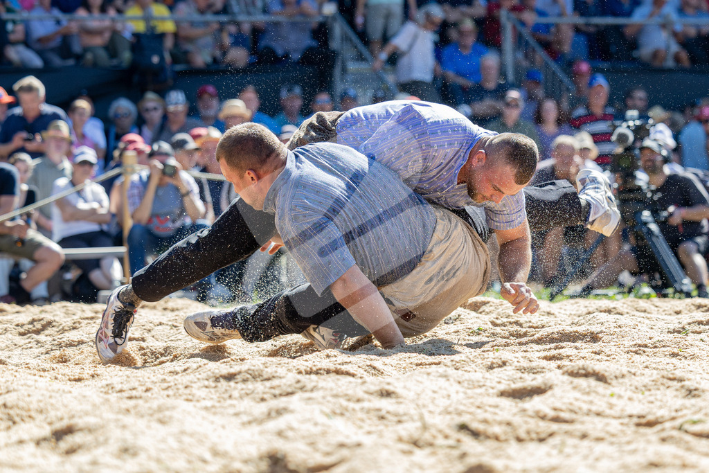TESSINER2025_04_Gang_0845 | Die Schwinger des Schwyzer Kantonalen Schwingerverbandes: Fotos, die Dynamik und Leidenschaft festhalten, sowie emotionale Momente aus dem traditionellen Schwingsport zeigen. - Realisiert mit Pictrs.com