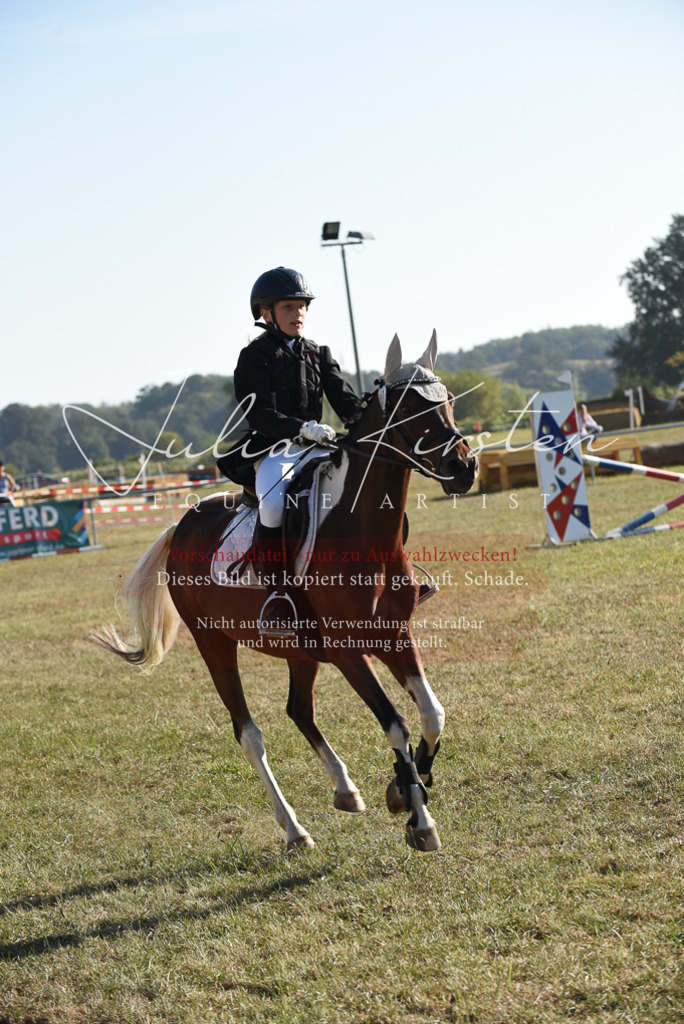 DSC_5595 | Pferde- und Turnierfotografie in Westsachsen. Pferdeportraits, Auftragszeichnungen und intuitive Kunst.