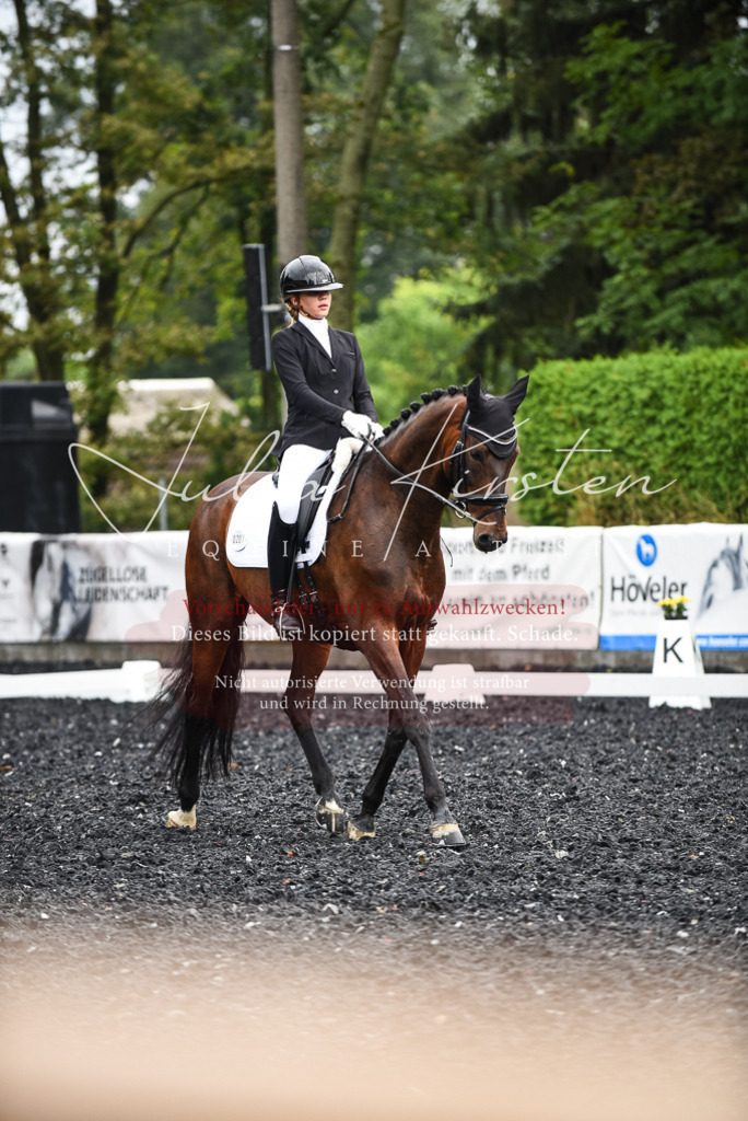 DSC_2934 | Pferde- und Turnierfotografie in Westsachsen. Pferdeportraits, Auftragszeichnungen und intuitive Kunst.
