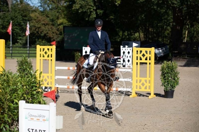 2B4A0255 | pixelfaenger - Realisiert mit Pictrs.com