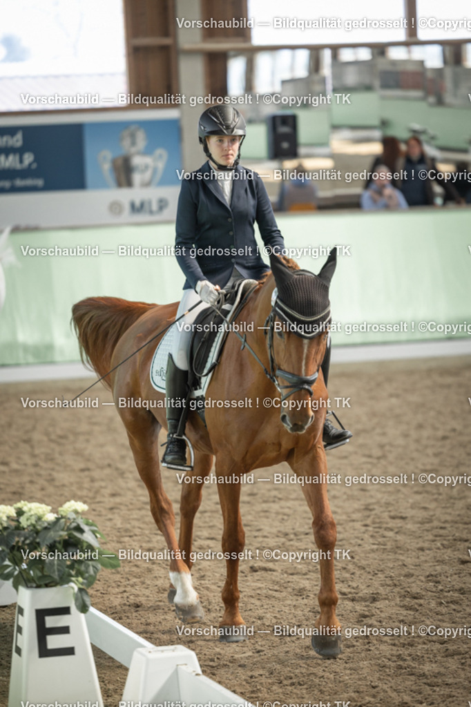 _D5A5730 | Emotionale Pferde- & People-Fotografie rund um Heidelberg, Leimen & Umgebung. Natürliche Fotos von Pferd, Mensch & Familie. Jetzt Termin sichern!