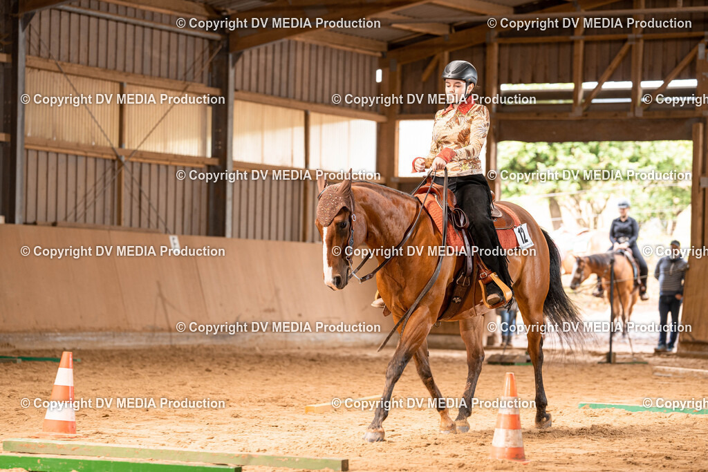 Losheim Tag 2-165 | dv-media-shop - Realisiert mit Pictrs.com