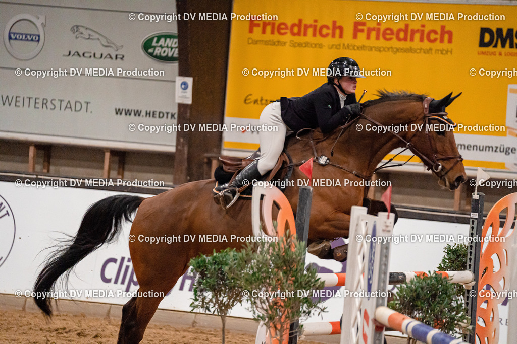 Kranichstein Tag 2-1287 | dv-media-shop - Realisiert mit Pictrs.com