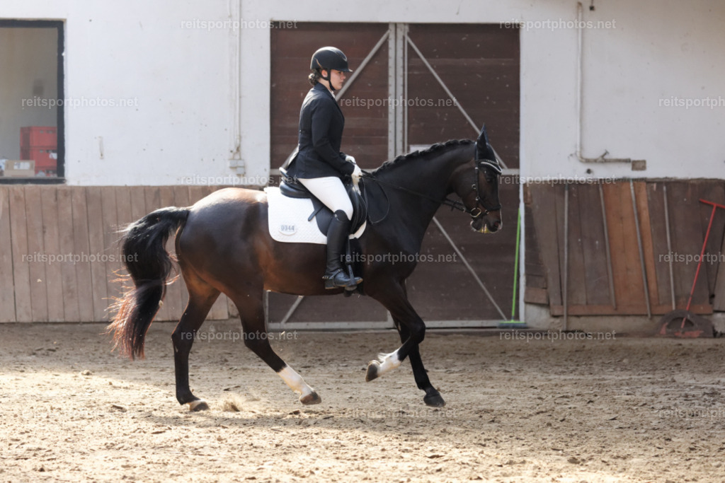 015A2126 | Joachim Heinrich Fotografie - Realisiert mit Pictrs.com