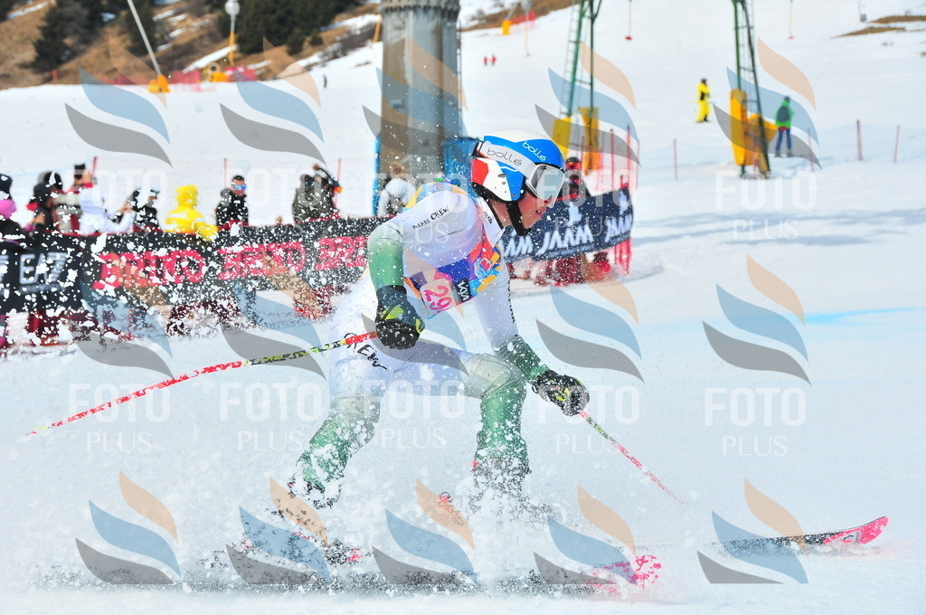 DSC_6491 | holidayphoto