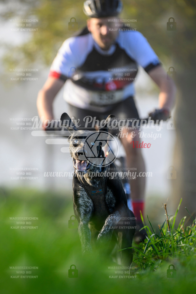 MompixPhotography_20TSB_E3_Bike-86 | PayLife