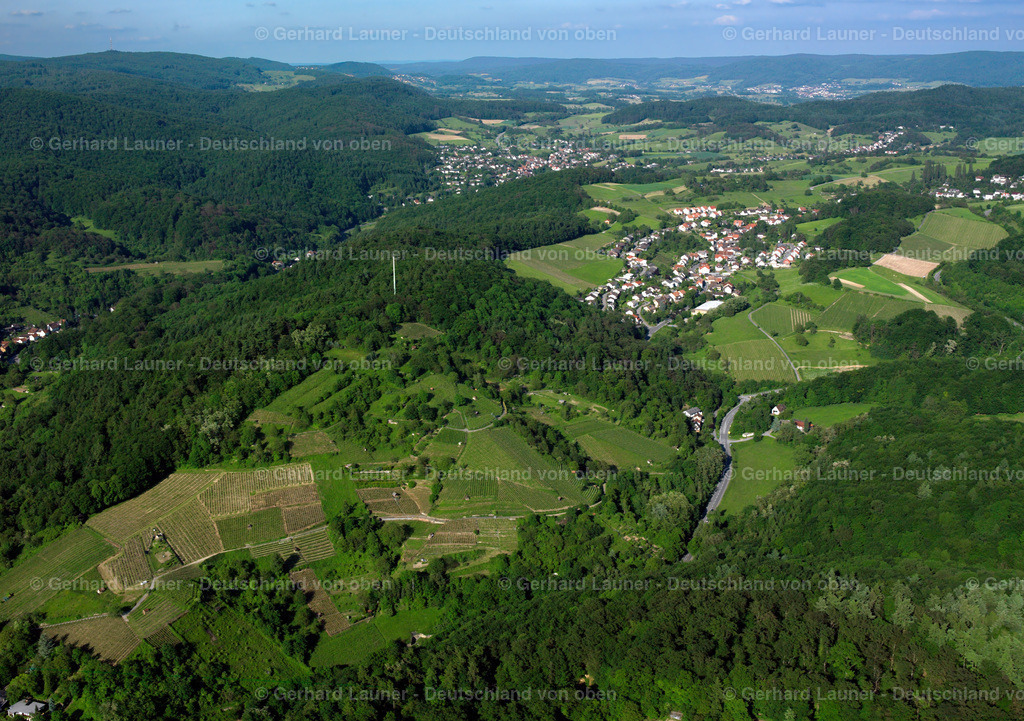 2598044 | Blick auf die Weinberge zw. Heppenheim und Erbach