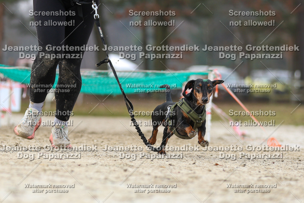 Dog Paparazzi - Strongdog North Mrz26-4546 | Dog Paparazzi Jeanette Grottendiek Fotografie & Videografie - Realisiert mit Pictrs.com