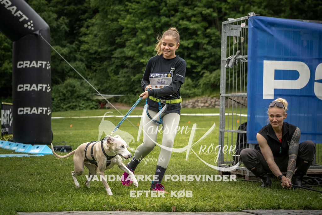 1101_ZZ95816 | kk-dogfotos