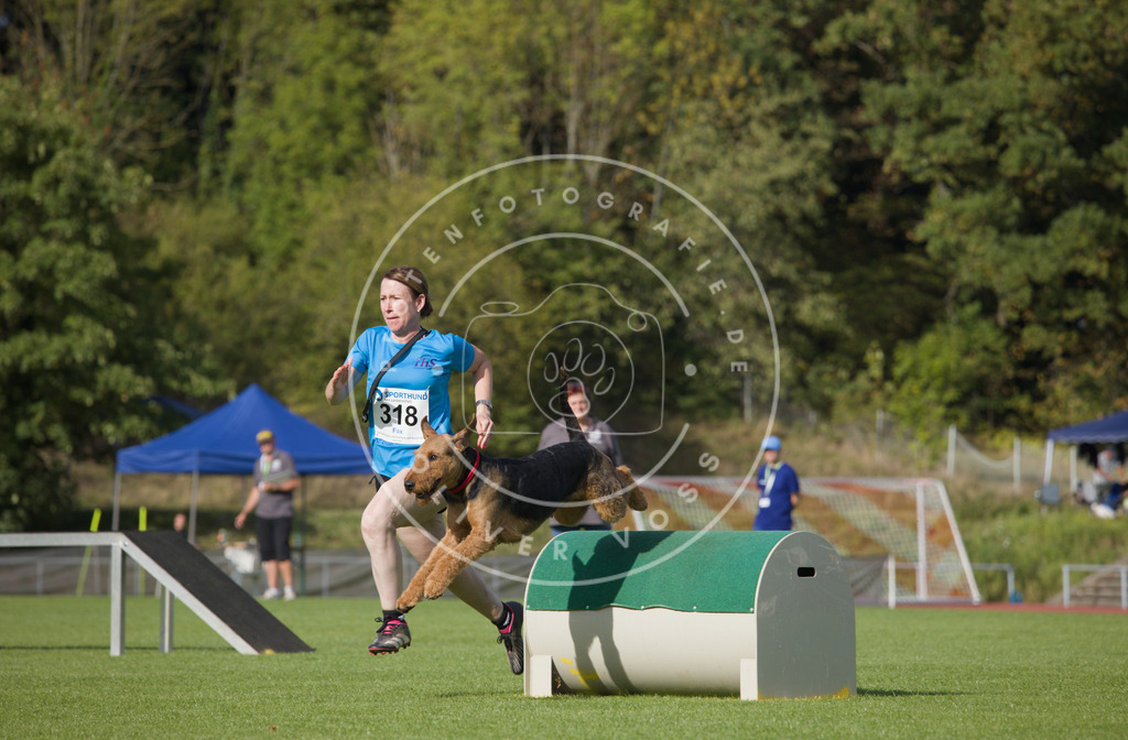 0L8A3801 | Hundefotografie, Tierfotograf, Pfotenfotografie, Fotoshooting Hund, Hunde Portrait, Hundesport, Hundeportraits, Heideshooting, Hunde, Sportfotograf, Hundefotograf, Turnierhundsport, THS,  - Realisiert mit Pictrs.com