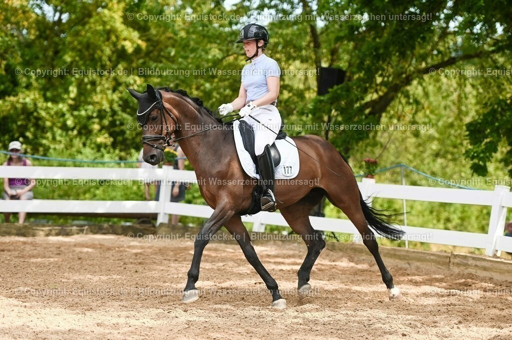 20230715_02_Dressurreiterprüfung Kl.L_0396 | equistock