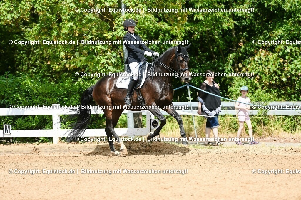 20230716_01_Dressurprüfung Kl.M_0067 | equistock