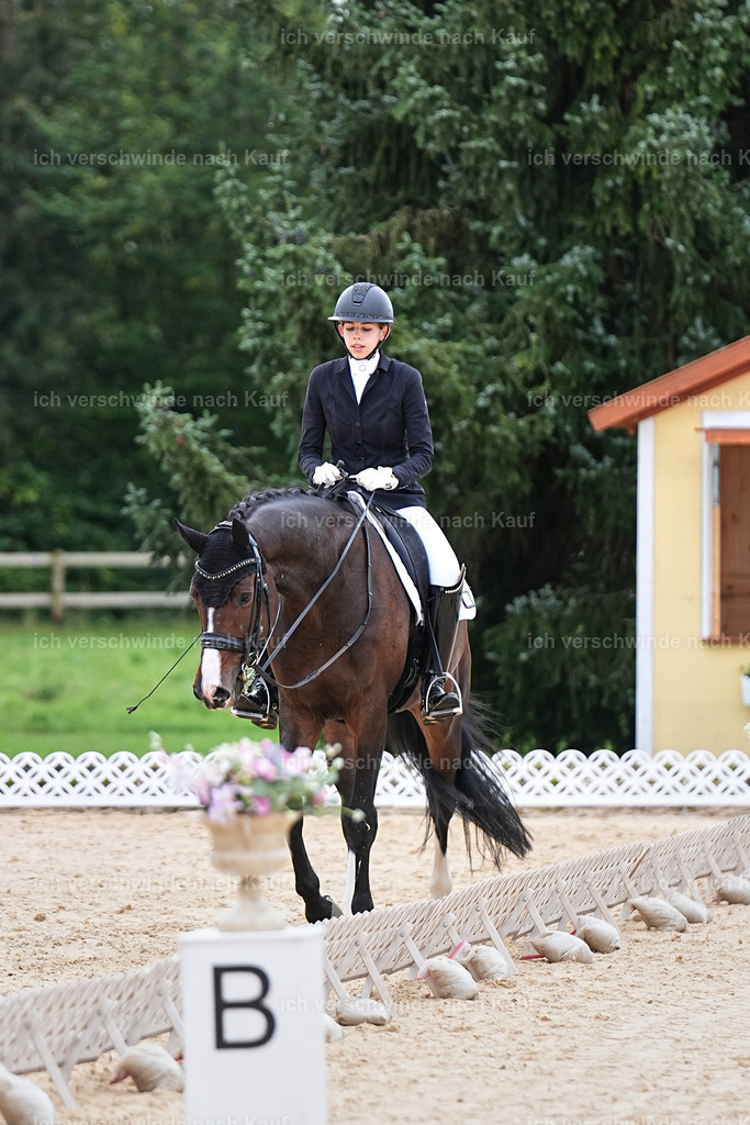 3-224-Dressur M_-Marixx-2041 | working equitationturnier fotograf videograf stoibphotography marixx film working equitation deutschland reitsport turnierfotografie eventfotografie equestrian events
