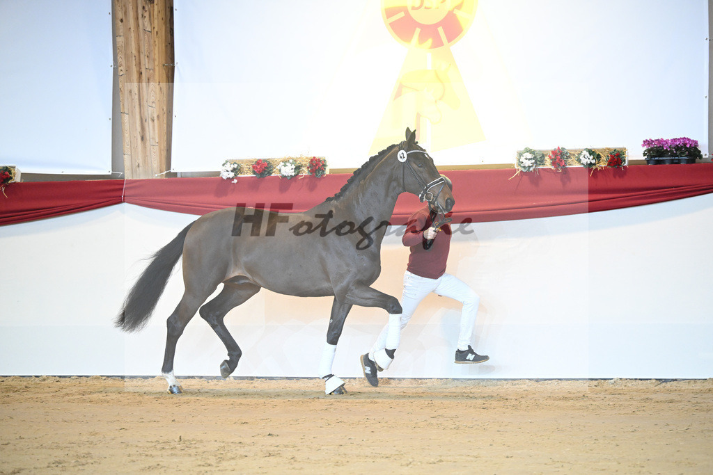 Kat-Nr. 42 De Beau_Schult_1231308 | hf-fotografie - Realisiert mit Pictrs.com