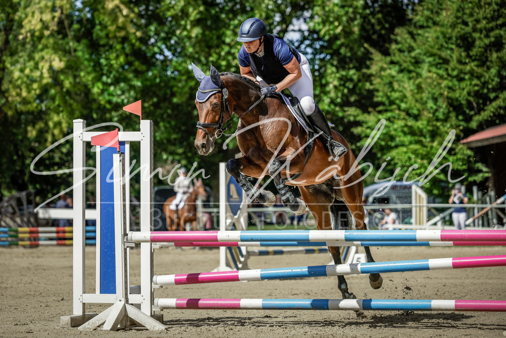 20250906-_3LI6083 | Tierfotografie Pferde, Hunde, Katzen, Haustiere.
Turnierfotografie Reitturniere, Reiten, Springreiten, Dressur in Hanau, dem Main-Kinzig-Kreis und dem Rhein-Main- Gebiet um Frankfurt