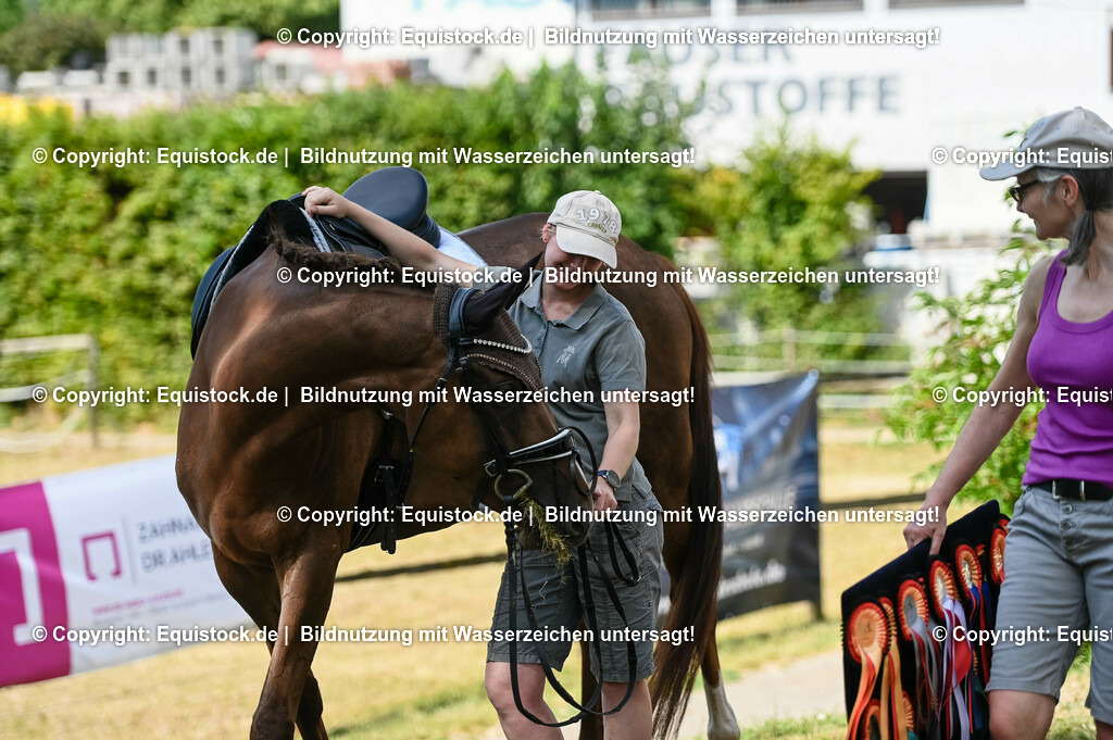 20230715_07_Dressurpferdeprfg. Kl.L_0198 | equistock