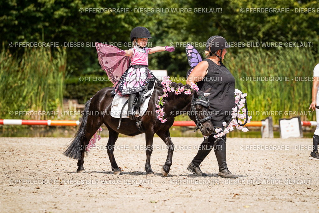 DSC03039 | Pferdegrafie