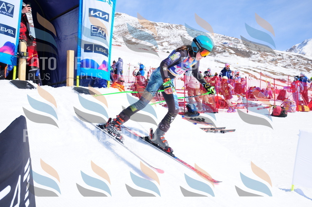 DSC_4943 | holidayphoto