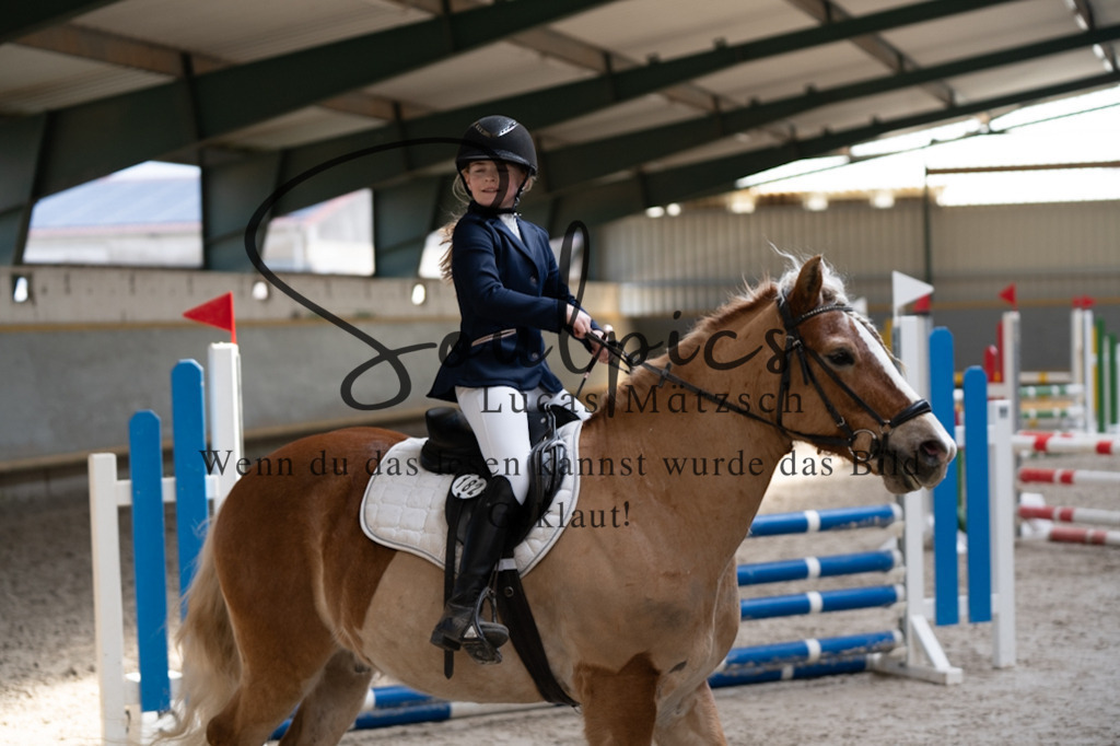 A7V06613 | Pferdefotograf