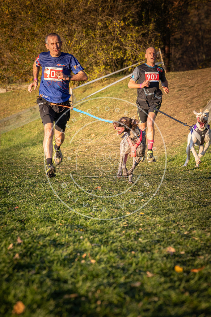 CaniXpix_0L8A1406 | Hundefotografie, Tierfotograf, Pfotenfotografie, Fotoshooting Hund, Hunde Portrait, Hundesport, Hundeportraits, Heideshooting, Hunde, Sportfotograf, Hundefotograf, Turnierhundsport, THS,  - Realisiert mit Pictrs.com
