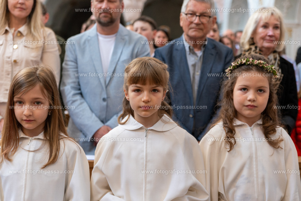_DSC2629 | Hier finden Sie die Online Foto-Galerie von fotograf-passau.com und marius-handrugan.de. Suchen Sie sich direkt Ihre Lieblingsbilder aus, ob als Ausdruck oder Download. - Realisiert mit Pictrs.com
