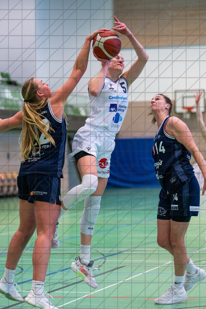 2. DBBL Nord 25/26 | Spieltag 21 | BBC Osnabrück vs. ETV Hamburg | 08.03.26: 2. DBBL Nord 25/26 | Spieltag 21 | BBC Osnabrück vs. ETV Hamburg / Osnabrück / Deutschland  //   CREDIT:www.bullenfotos.de, Martin König, Hörner Weg 40, D-49078 Osnabrück, +4917663732967 // Nutzung und Weitergabe nur zu den vereinbarten Zwecken. Presseanfragen an Ersteller. Alle Rechte beim Ersteller. Honorierung nach MFM. - Realisiert mit Pictrs.com