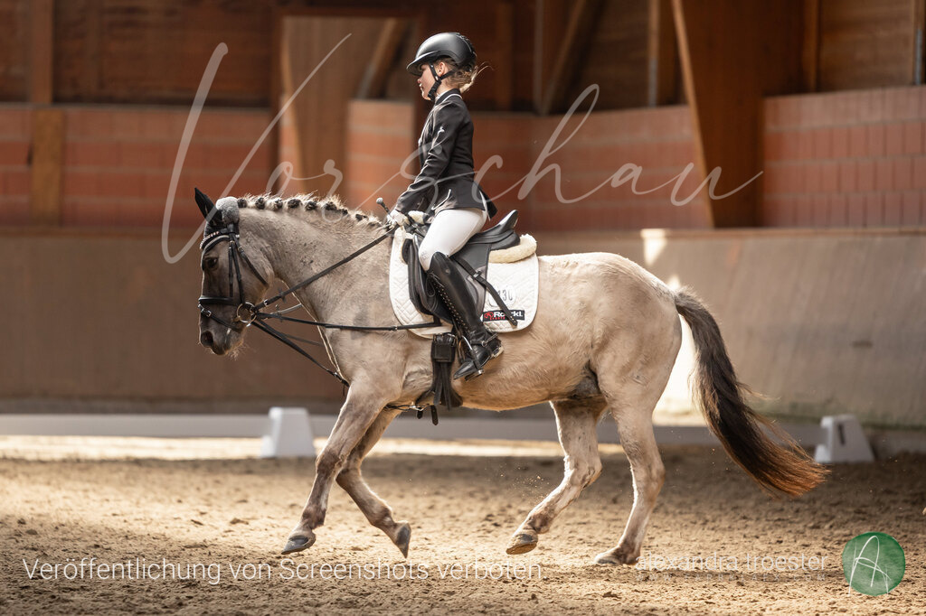 250405_Barop_06_139 | farbklaex.com