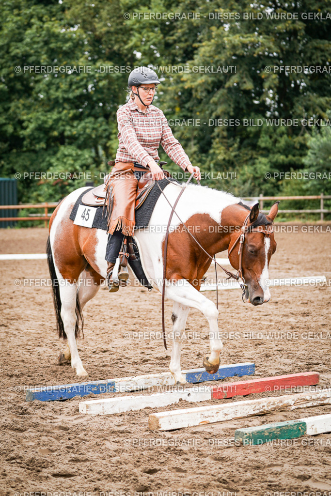 DSC04099 | Pferdegrafie