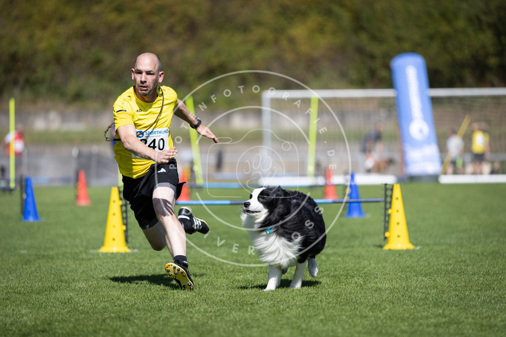 Pfotenfotografie_DV3A5904 | Hundefotografie, Tierfotograf, Pfotenfotografie, Fotoshooting Hund, Hunde Portrait, Hundesport, Hundeportraits, Heideshooting, Hunde, Sportfotograf, Hundefotograf, Turnierhundsport, THS,  - Realisiert mit Pictrs.com