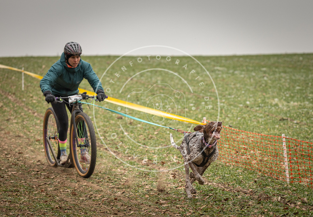 Pfotenfotografie_DV3A3581 | Hundefotografie, Tierfotograf, Pfotenfotografie, Fotoshooting Hund, Hunde Portrait, Hundesport, Hundeportraits, Heideshooting, Hunde, Sportfotograf, Hundefotograf, Turnierhundsport, THS,  - Realisiert mit Pictrs.com