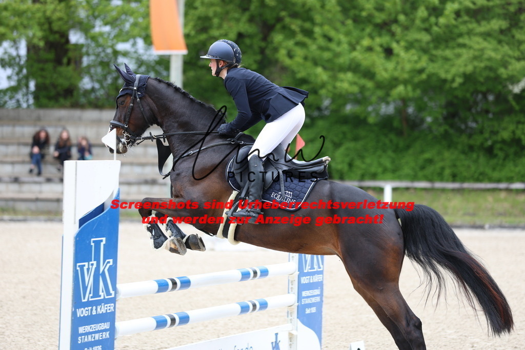 A40A4552 | lmwpictures - Realisiert mit Pictrs.com