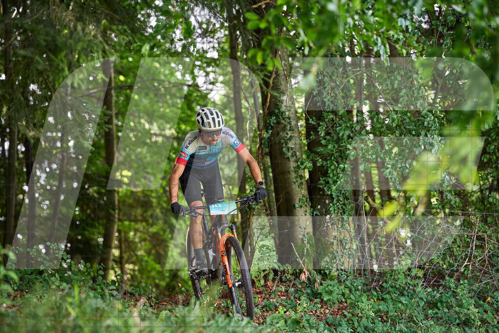Betriebszentrum Laubenbachmühle, Frankenfels, Österreich - 13. September 2025: Dirndltal Race - Fun und Trophy RaceFotograf: Martin Bihounek / martinbihounek.com | 13. September 2025 Betriebszentrum Laubenbachmühle, Frankenfels, Österreich : Dirndltal Race - Fun und Trophy Race •••••Photo by: Martin Bihounek / martinbihounek.comInsta: @martinbihounekcom