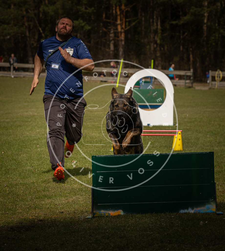 Pfotenfotografie_DV3A5767 | Hundefotografie, Tierfotograf, Pfotenfotografie, Fotoshooting Hund, Hunde Portrait, Hundesport, Hundeportraits, Heideshooting, Hunde, Sportfotograf, Hundefotograf, Turnierhundsport, THS,  - Realisiert mit Pictrs.com
