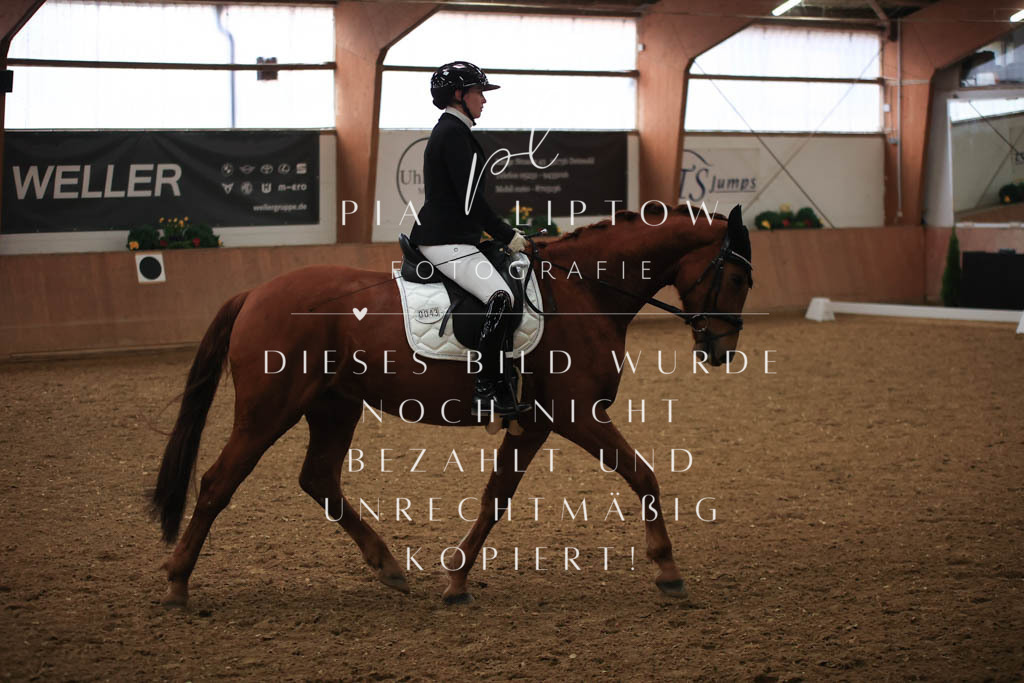 IMGT6990 | pl-fotografie