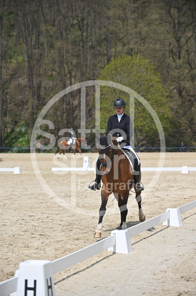 DSC_1986 | sattelsport - Realisiert mit Pictrs.com