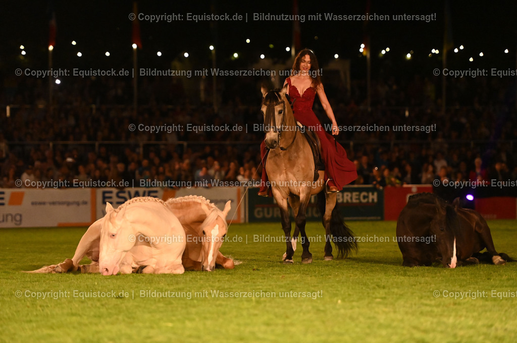 20230526_Pferdenacht_1543 | equistock