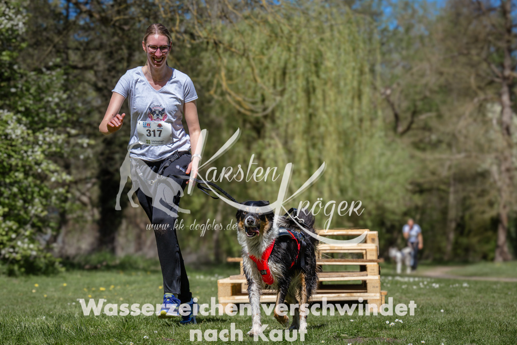 1242_ZZ93716 | kk-dogfotos