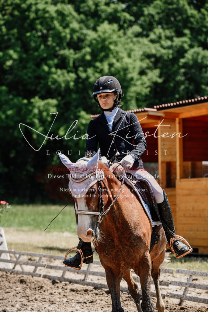 DSC_1918 | Pferde- und Turnierfotografie in Westsachsen. Pferdeportraits, Auftragszeichnungen und intuitive Kunst.