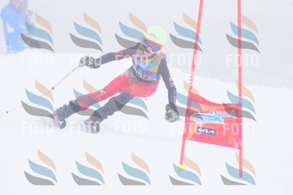 C3553 | holidayphoto