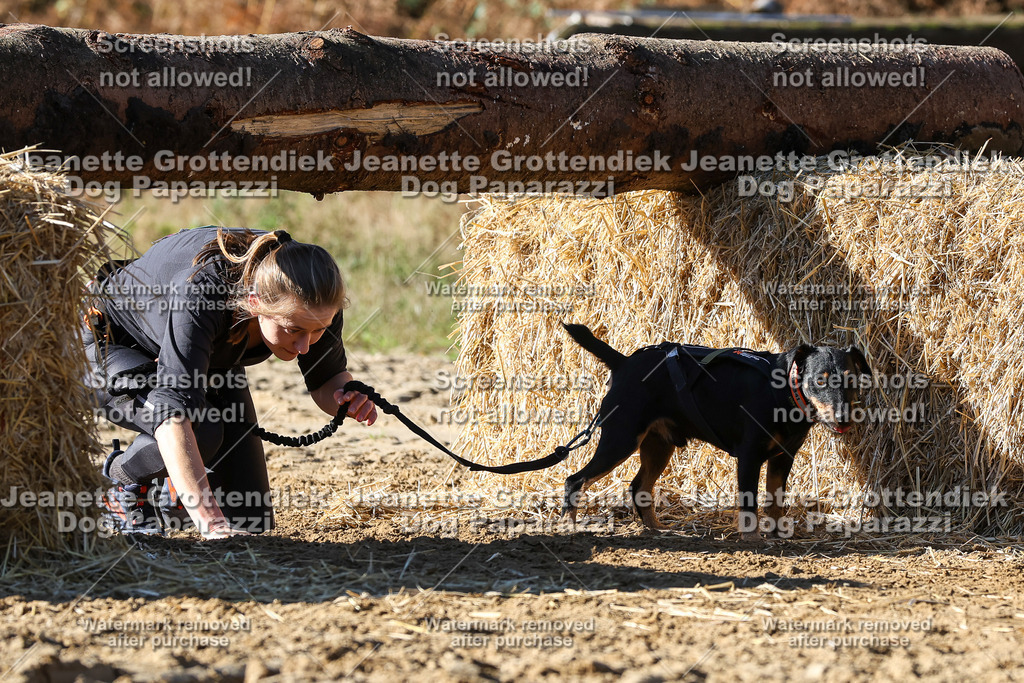 Dog Paparazzi - Strongdog 10-25-2852 | Dog Paparazzi Jeanette Grottendiek Fotografie & Videografie - Realisiert mit Pictrs.com